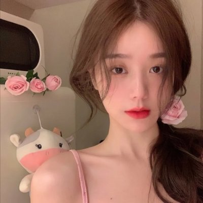 恐龙战队第四季